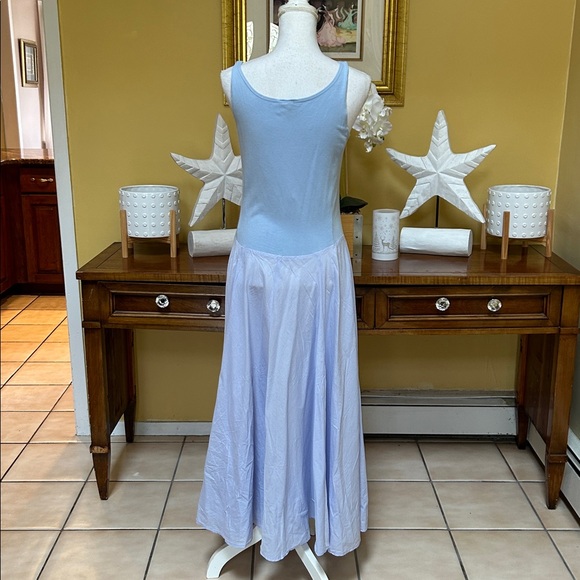 Eileen Fisher Lilac Periwinkle A line Scoop Neck Sleeveless Maxi Slip Dress USA - Picture 10 of 14